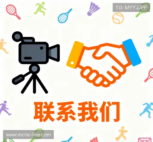 咨询合作
